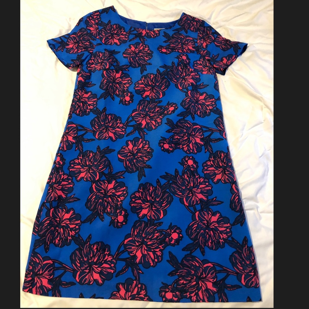 Jcrew dress! Never worn but tags are not on
